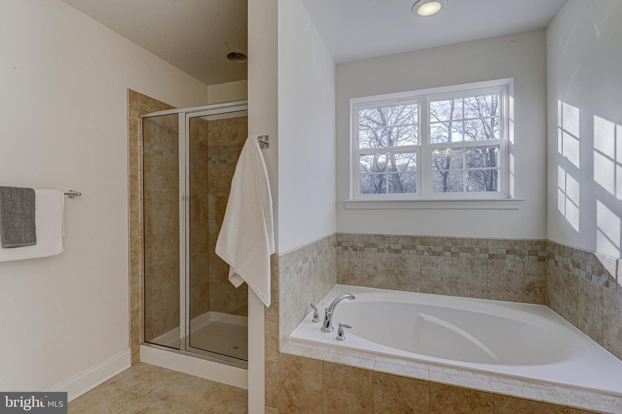 174 Copper Road Severna Park, MD 21146 - Photo 26 of 42 Soaking tub and separate standing shower