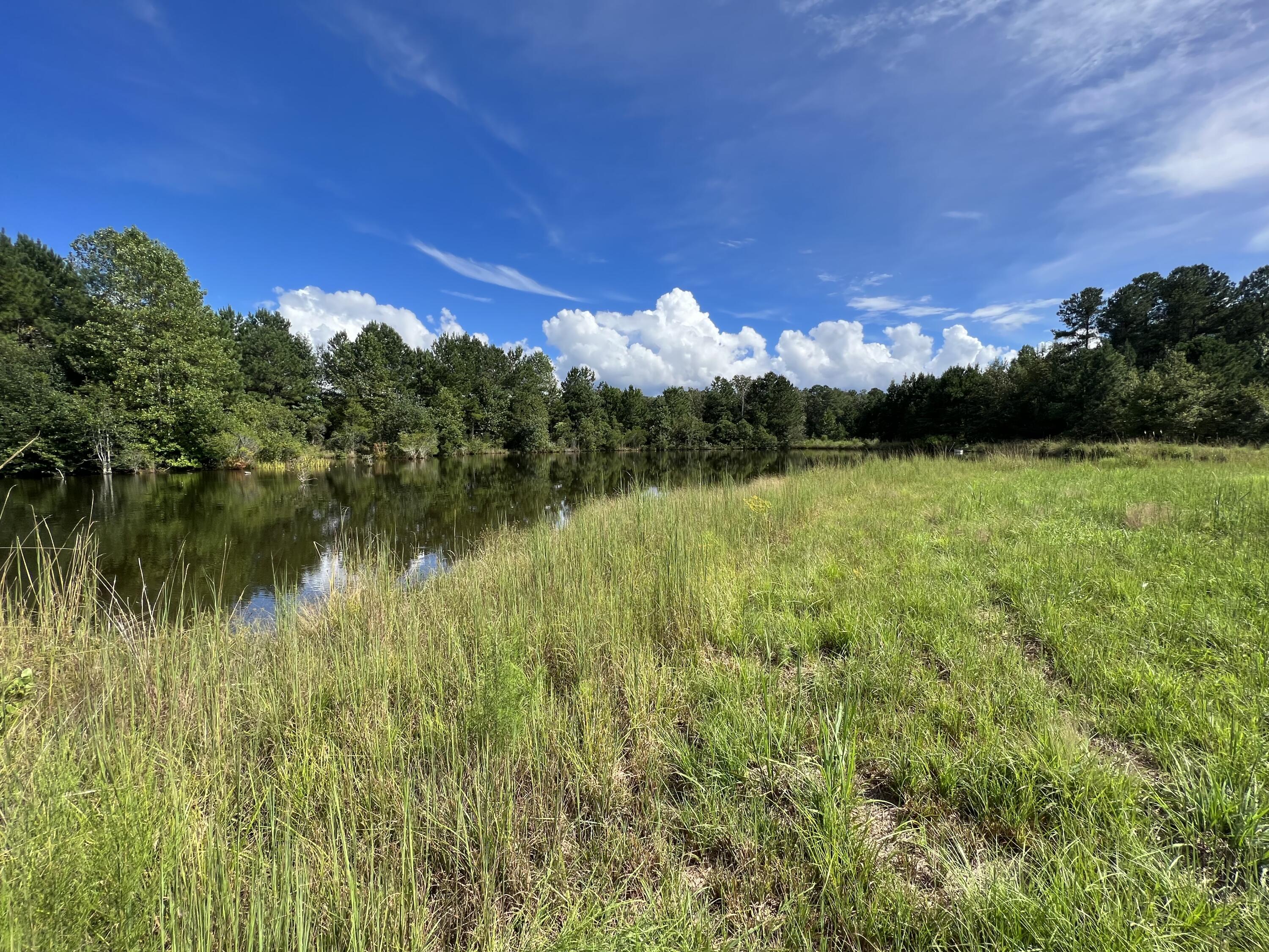 0 Flowing Well Road Wagener, SC 29164 - Photo 5 of 19