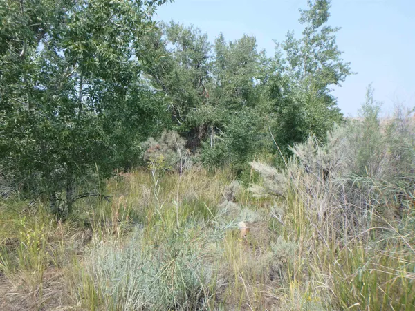 $320,000 | 7 Crystal Avenue, Dubois, WY 82513