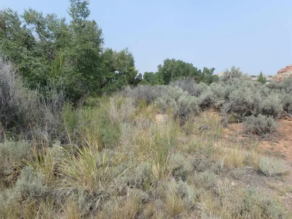 $320,000 | 7 Crystal Avenue, Dubois, WY 82513