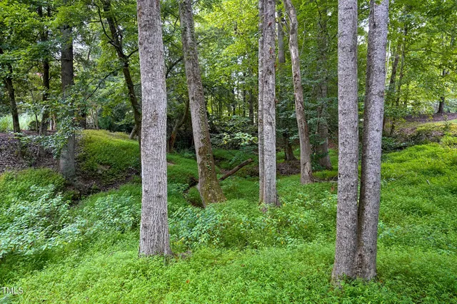 $1,875,000 | 6321 Mountain Grove Lane, Wake Forest, NC 27587