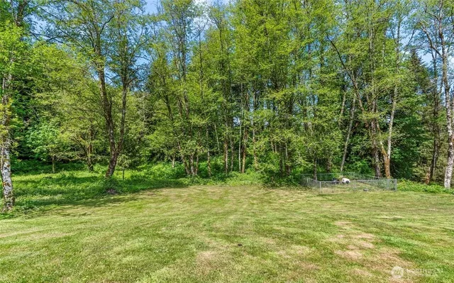 a view of outdoor space with trees all around