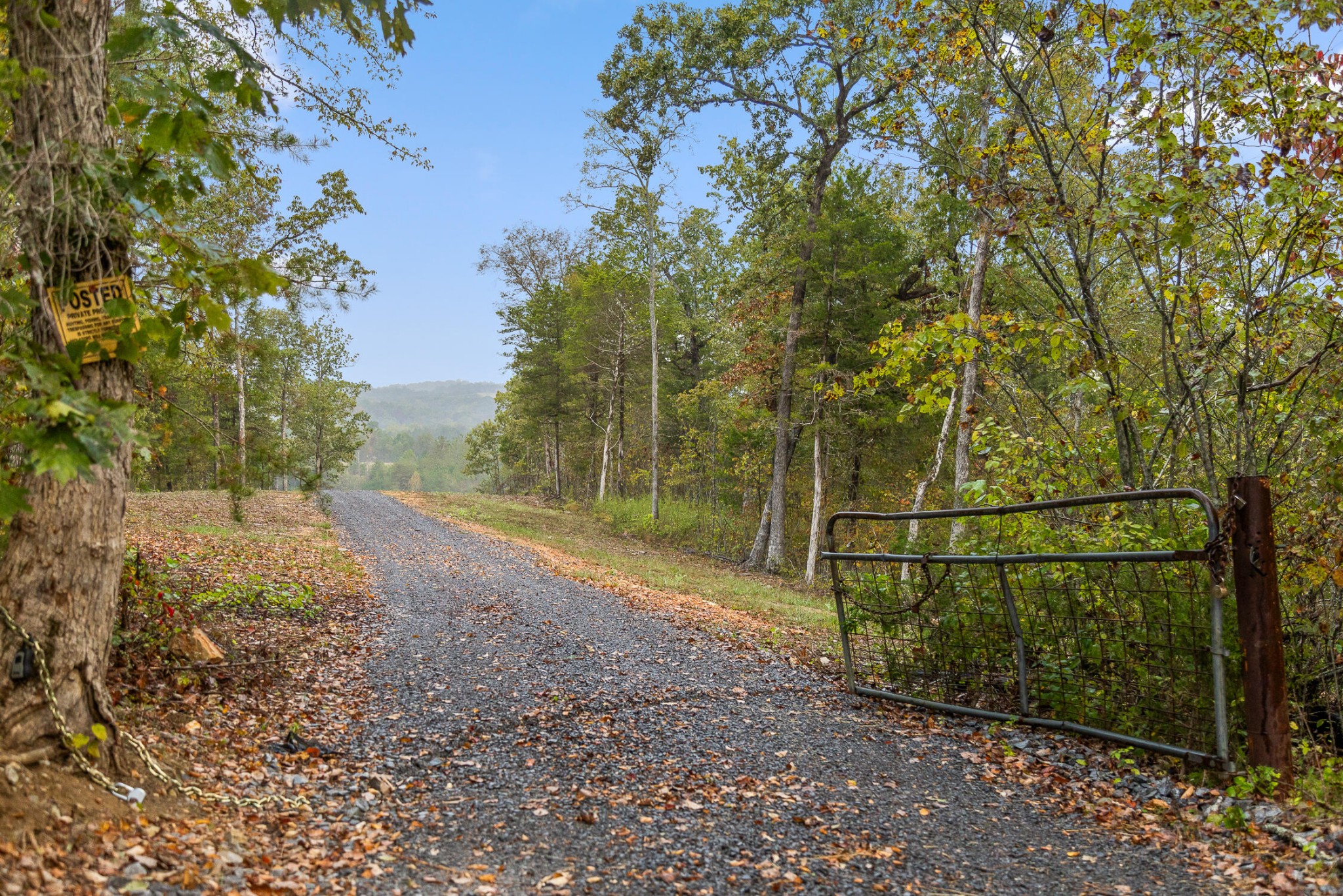 771 State Highway Georgetown, TN 37336 - Photo 12 of 56