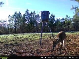 771 State Highway Georgetown, TN 37336 - Photo 17 of 56