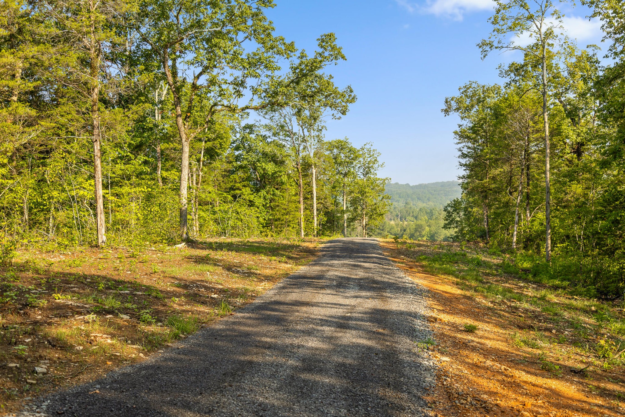 771 State Highway Georgetown, TN 37336 - Photo 20 of 56