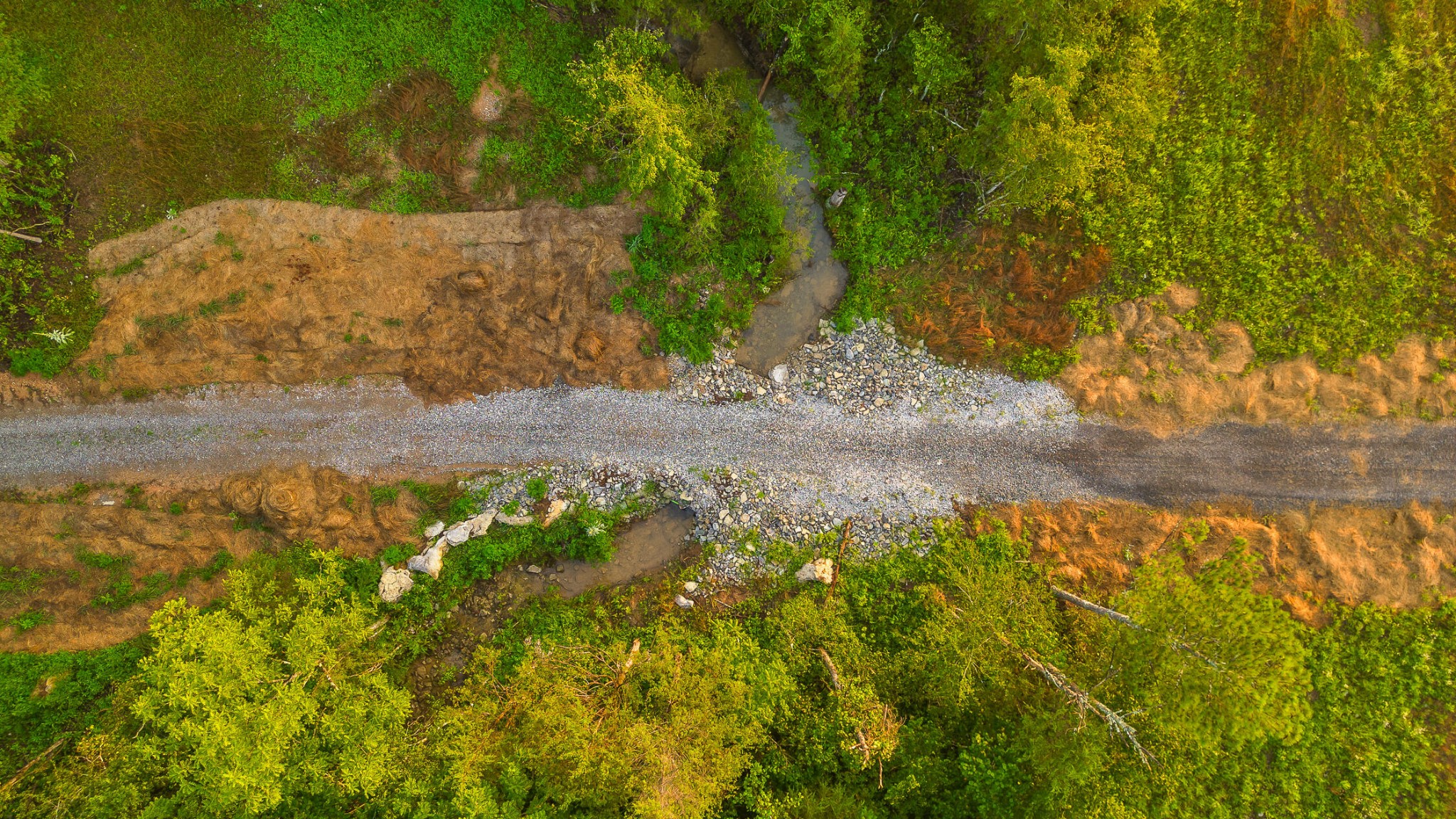 771 State Highway Georgetown, TN 37336 - Photo 25 of 56