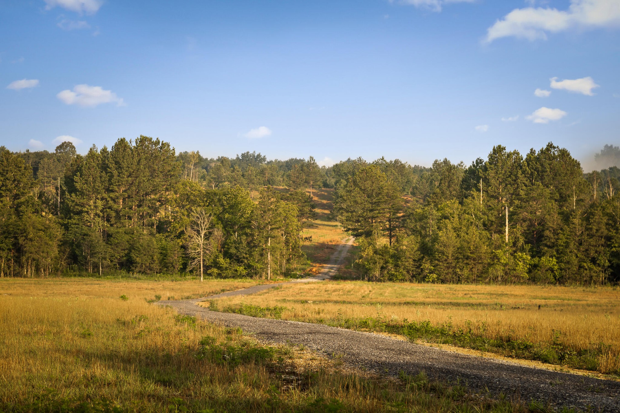 771 State Highway Georgetown, TN 37336 - Photo 40 of 56