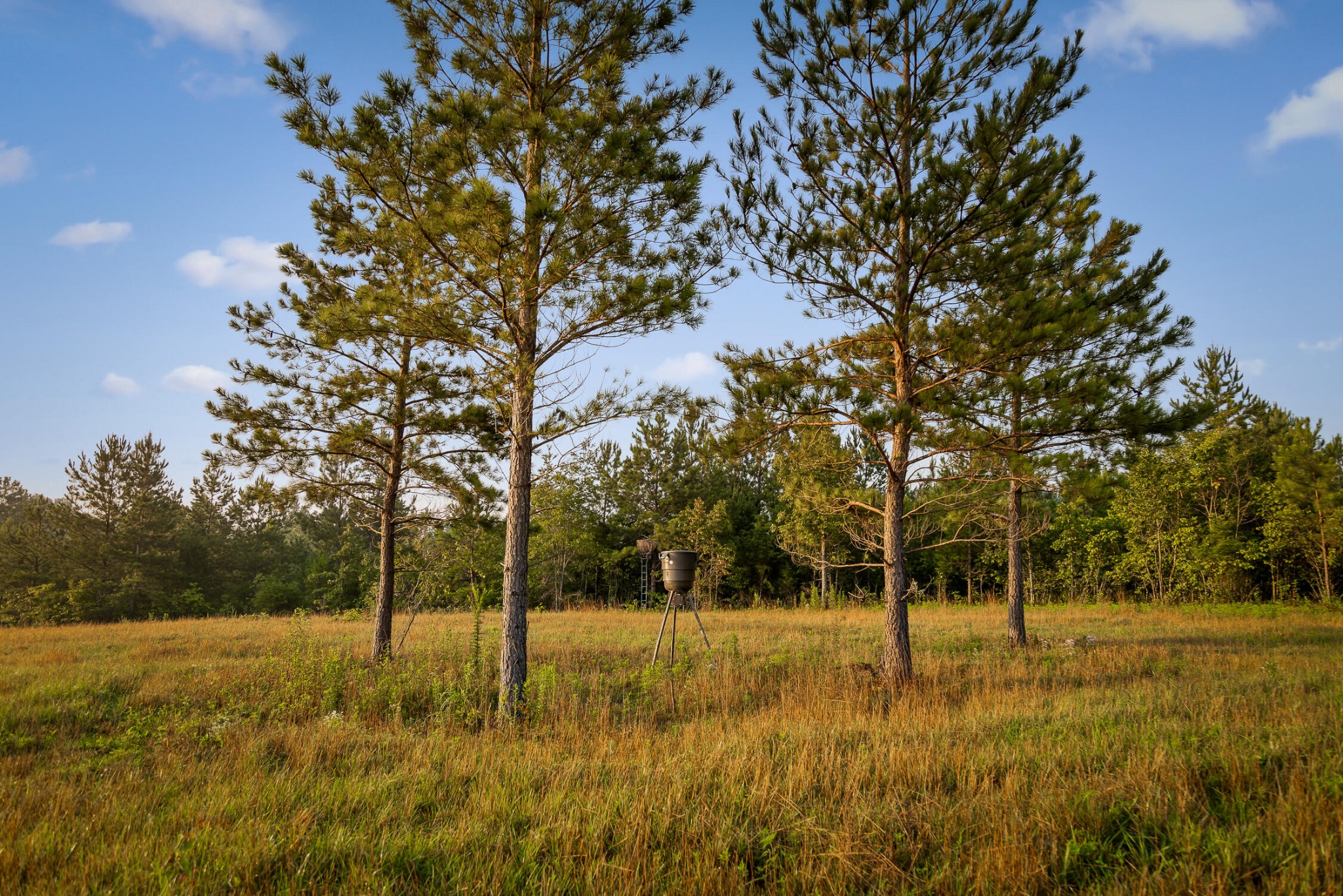 771 State Highway Georgetown, TN 37336 - Photo 4 of 56