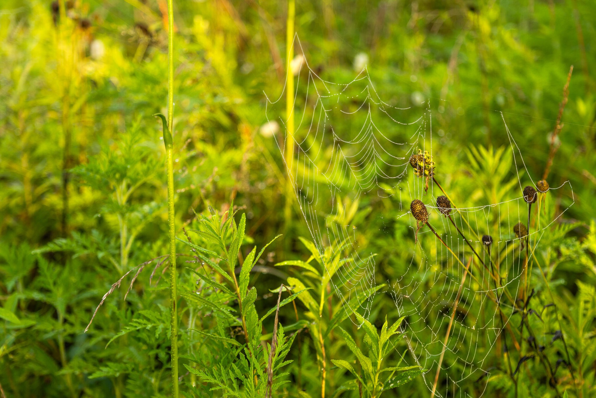 771 State Highway Georgetown, TN 37336 - Photo 46 of 56