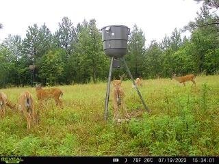 771 State Highway Georgetown, TN 37336 - Photo 48 of 56