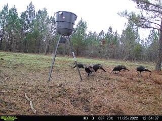 771 State Highway Georgetown, TN 37336 - Photo 49 of 56