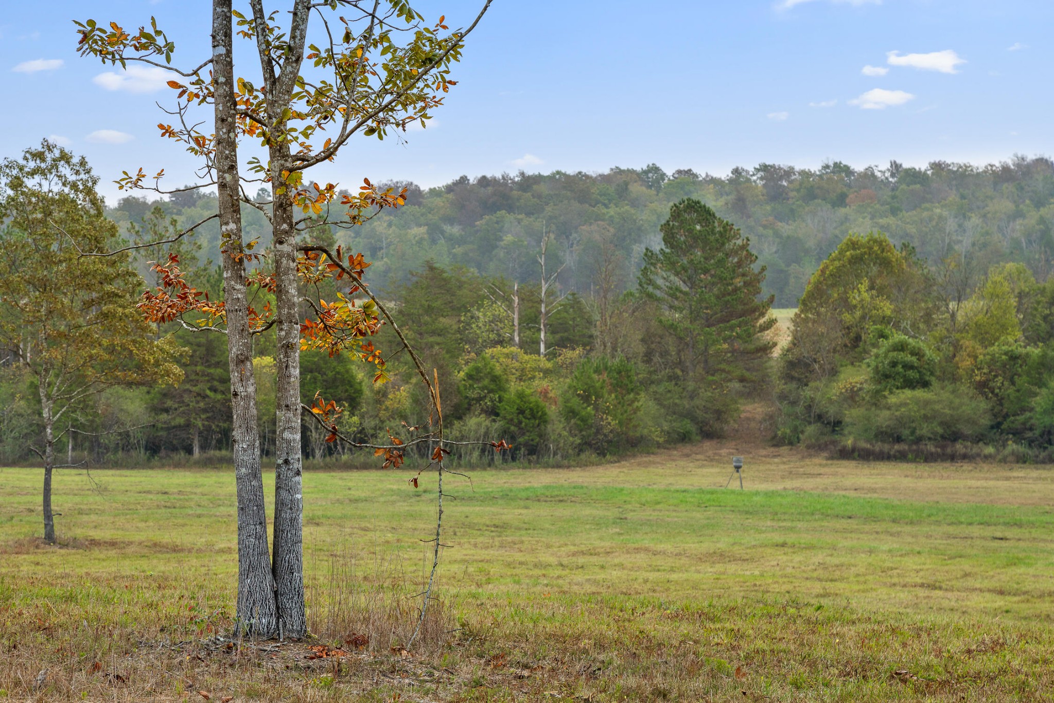 771 State Highway Georgetown, TN 37336 - Photo 52 of 56
