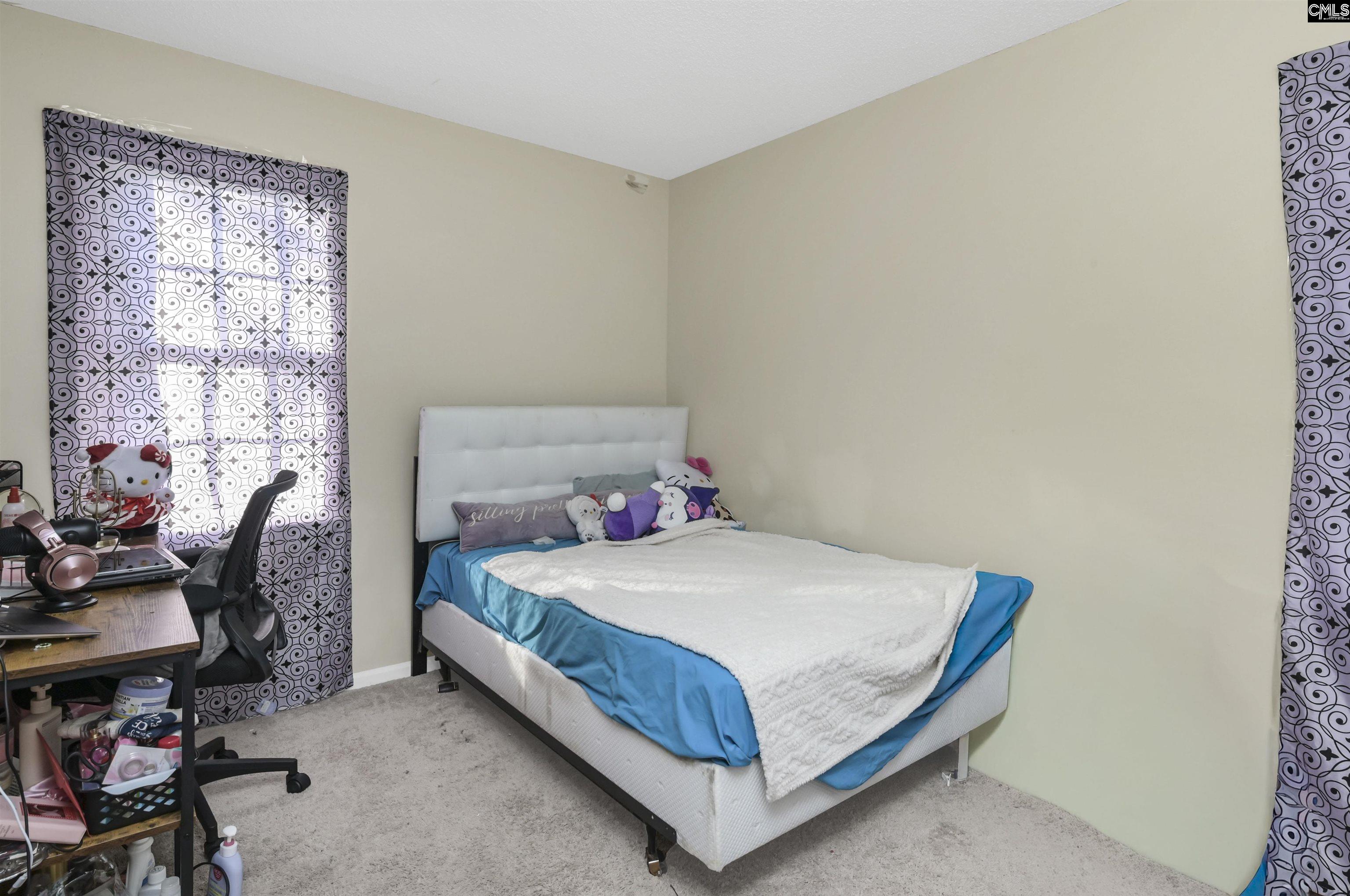 337 Chapelwhite Road Irmo, SC 29063 - Photo 26 of 29