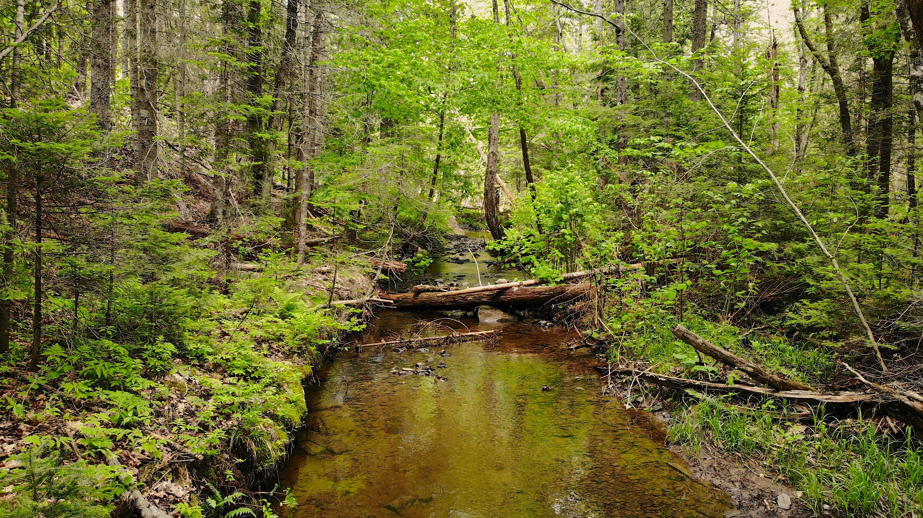 608 S Road Holden, ME 04429 - Photo 27 of 36 DJI_0497