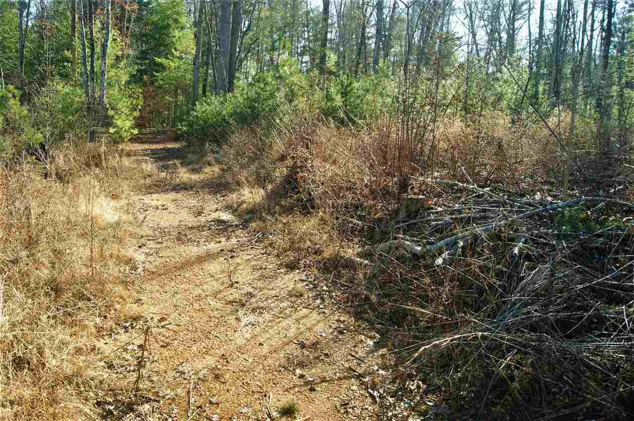 540 Pond Ridge Road Tellico Plains, TN 37385 - Photo 12 of 14 Gallery Image 12