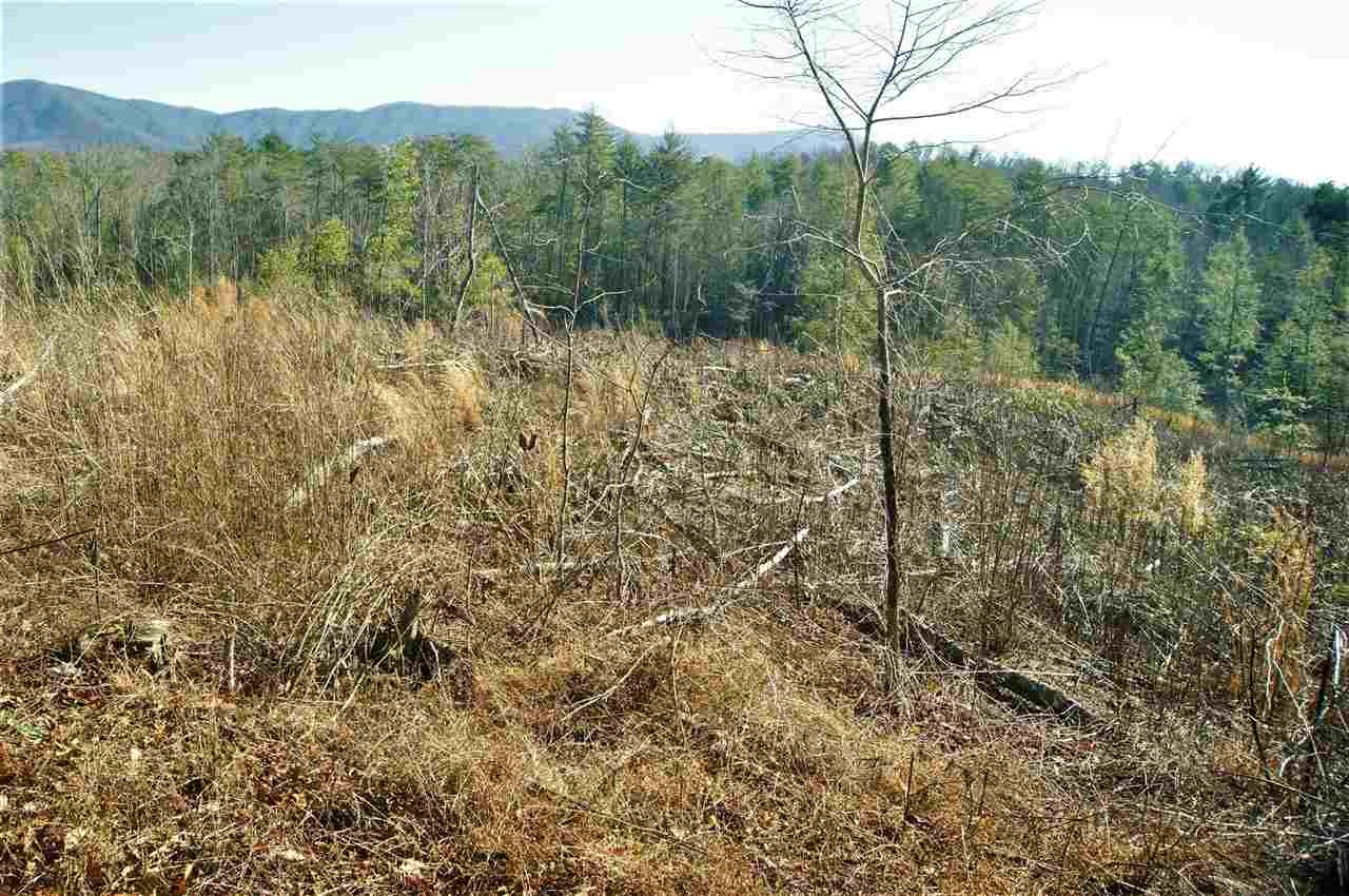 540 Pond Ridge Road Tellico Plains, TN 37385 - Photo 6 of 14 Gallery Image 6