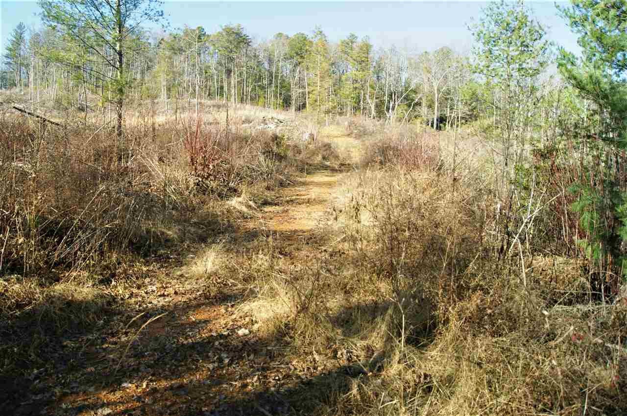 540 Pond Ridge Road Tellico Plains, TN 37385 - Photo 10 of 14 Gallery Image 10
