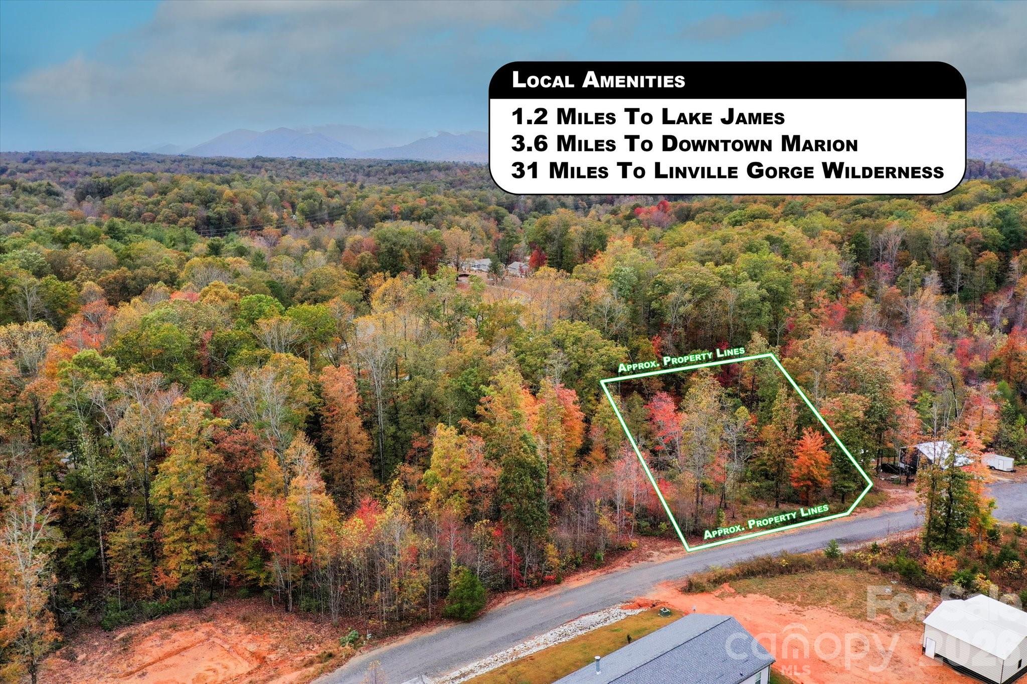 269 Mooseheart Road Marion, NC 28752 - Photo 11 of 12 Gallery Image 11