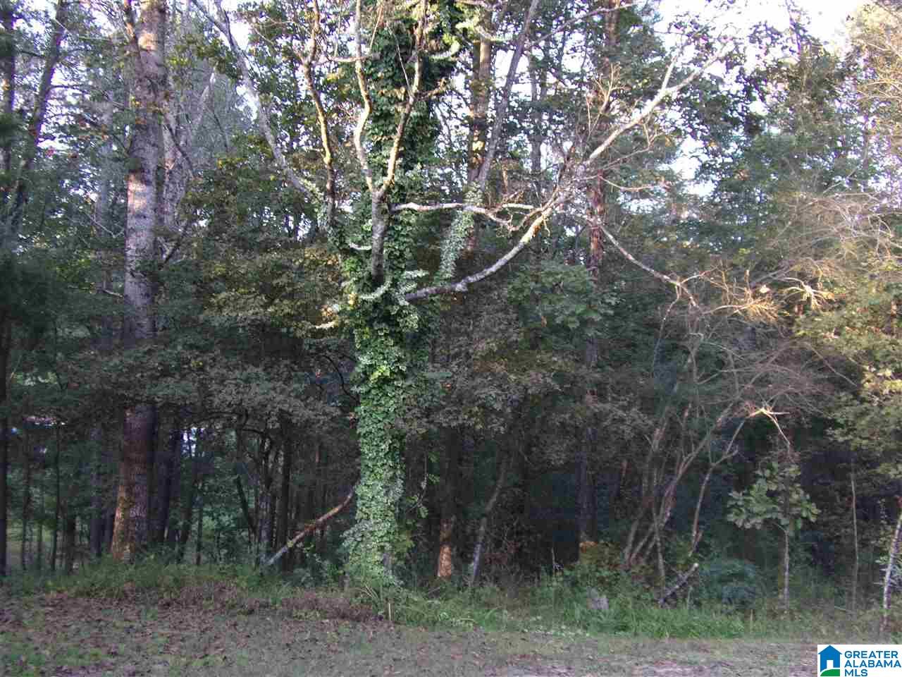 1140 High Rock Road Hayden, AL 35079 - Photo 17 of 31 Gallery Image 17