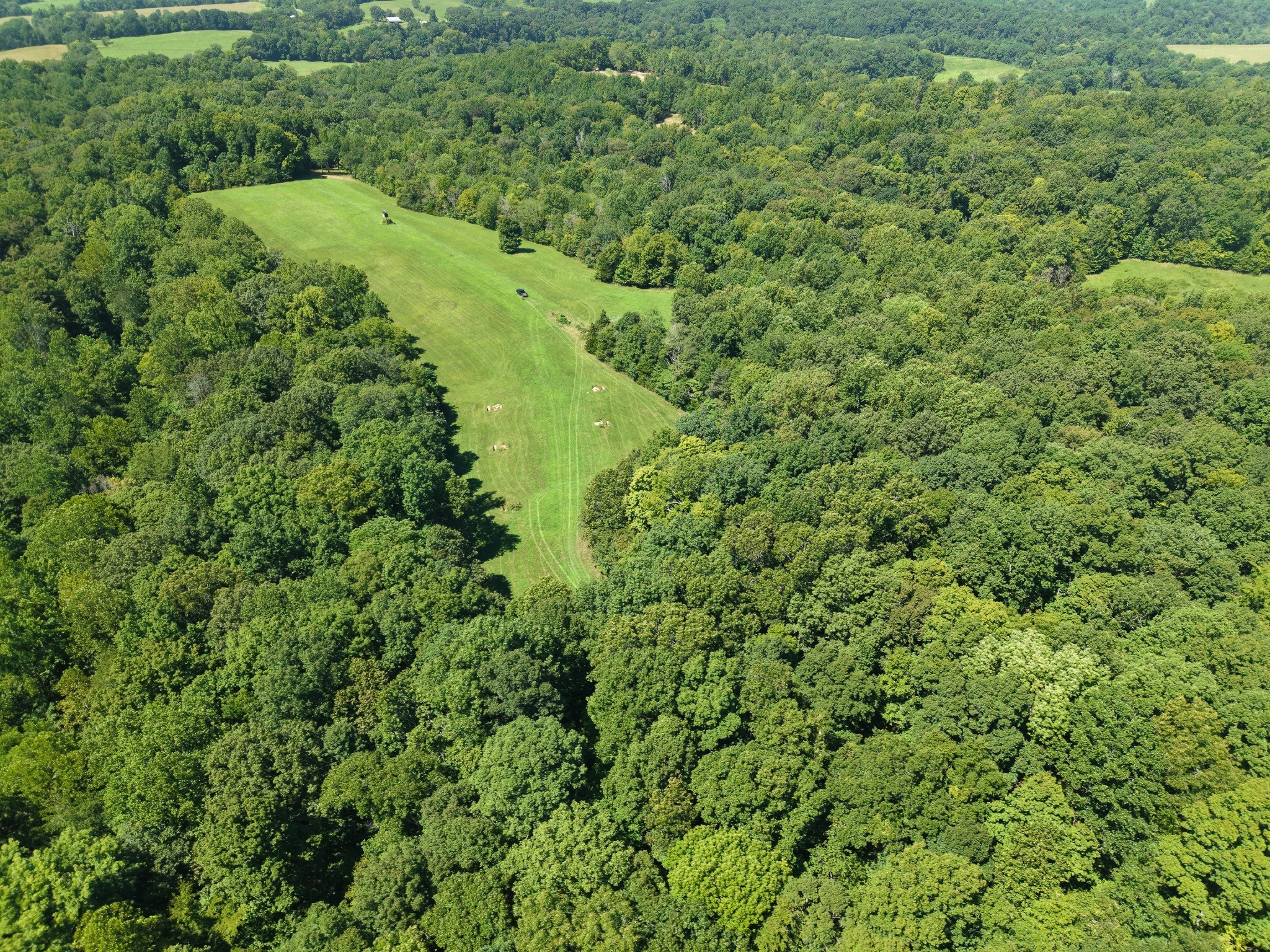 0 Batson Mill Road Charlotte, TN 37036 - Photo 5 of 11 Gallery Image 5