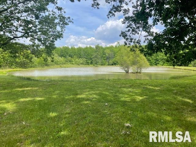 17398 Freeman Spur Road Herrin, IL 62948 - Photo 29 of 32 Gallery Image 29