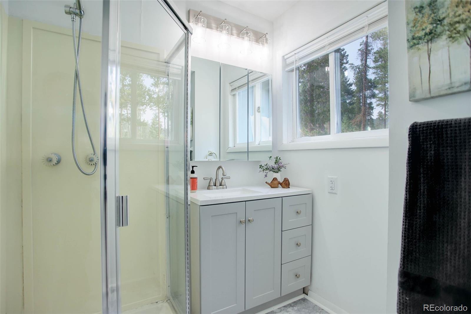 7359 Brook Forest Way Evergreen, CO 80439 - Photo 19 of 40 a bathroom with a shower sink and mirror