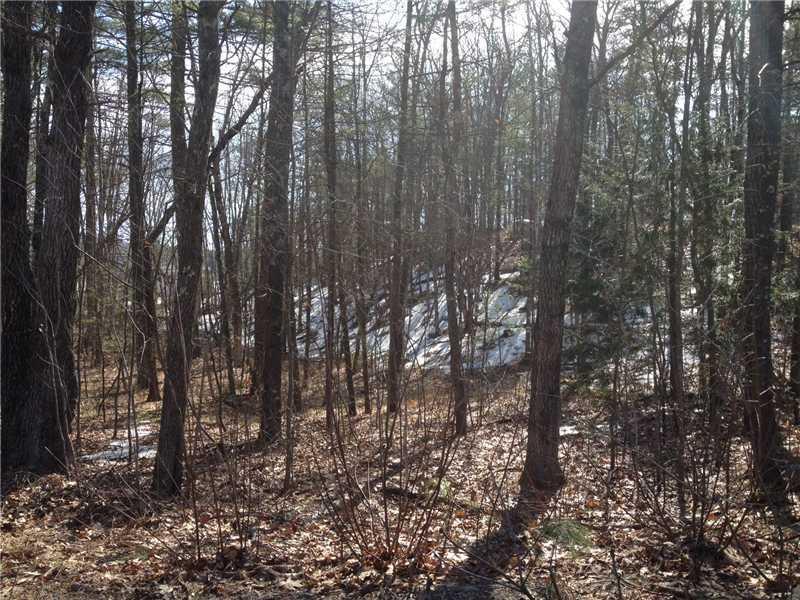 0 Silas Brown Road North Waterboro, ME 04061 - Photo 1 of 4 Land/Lot.