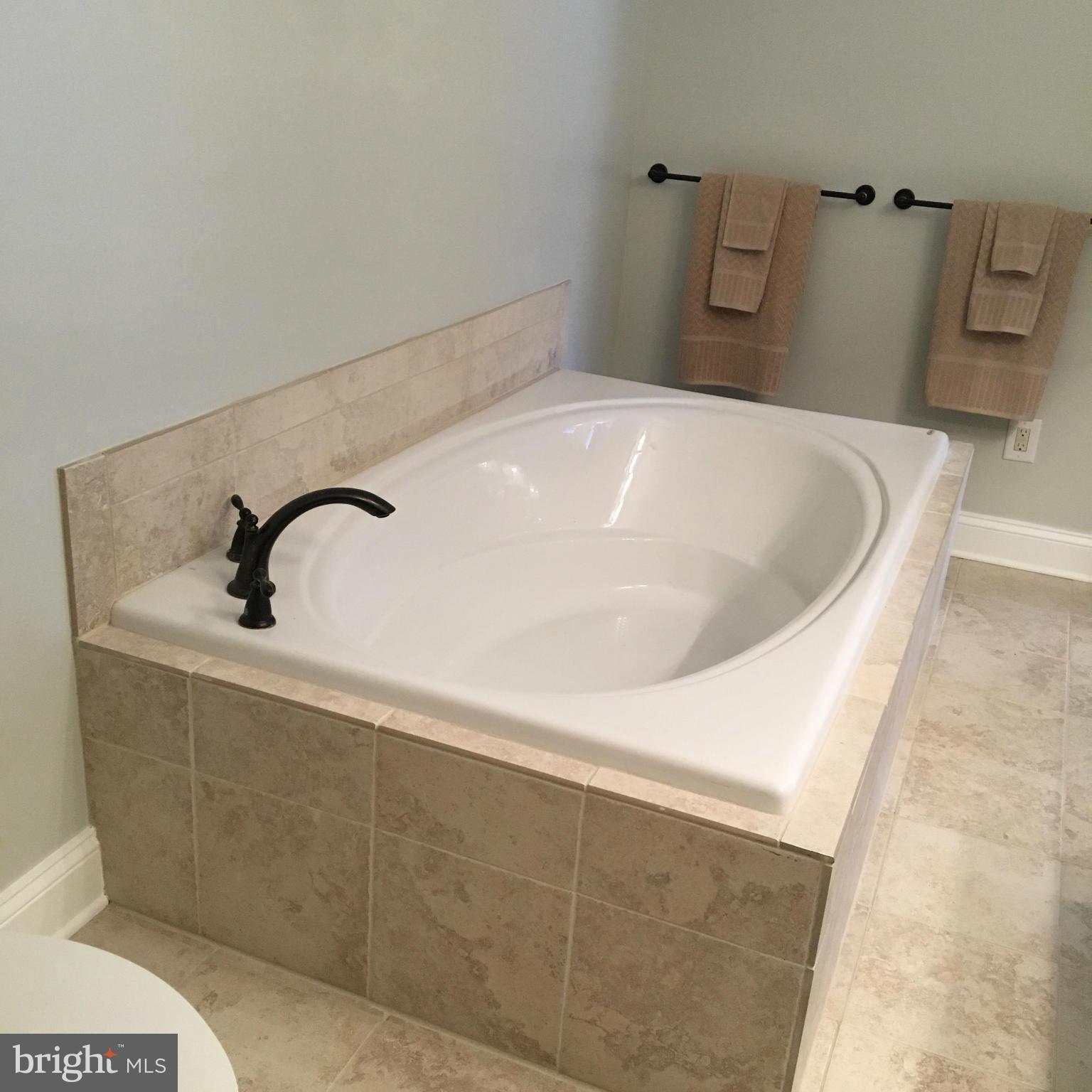 22150 Blades Road Preston, MD 21655 - Photo 15 of 27 Bath (Master)