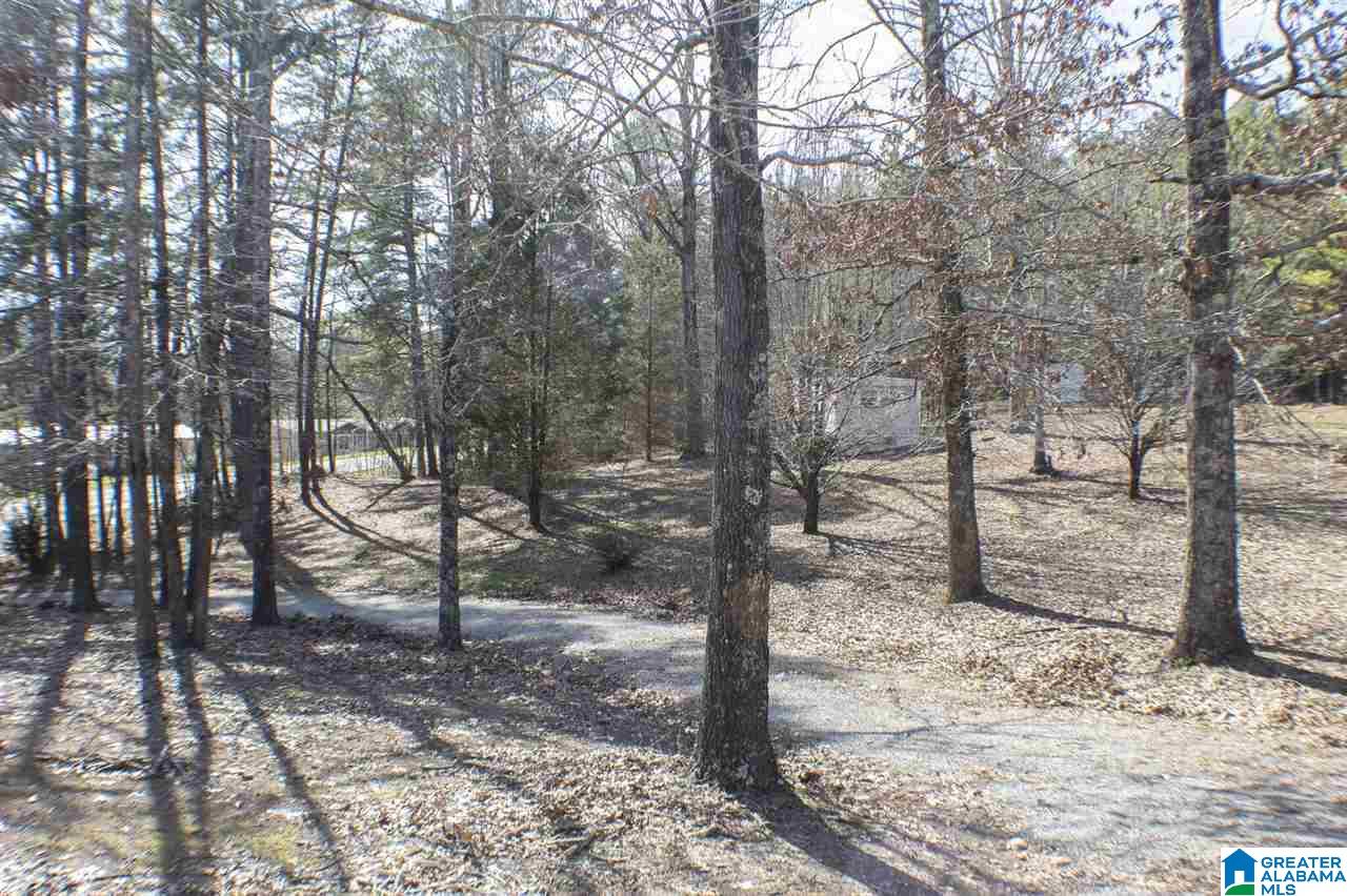 2021 Pumpkin Center Cut Off Road Quinton, AL 35130 - Photo 15 of 15