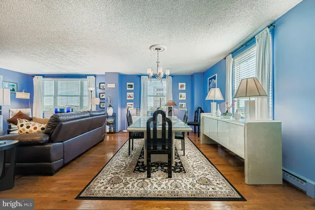 a living room with furniture rug and window