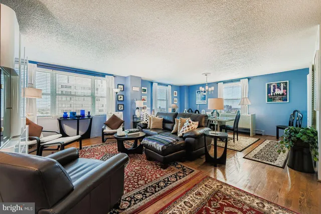 a living room with furniture potted plant and a large window