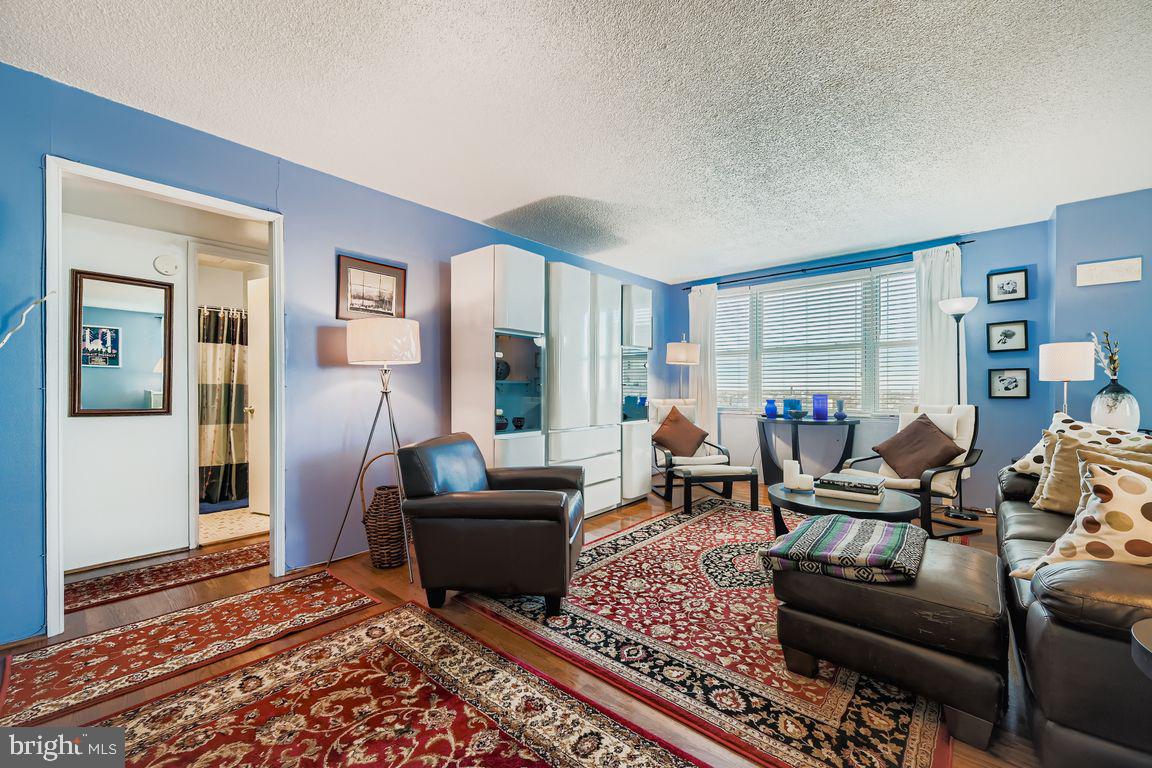 1101 St Paul Street, Unit 1410 Baltimore, MD 21202 - Photo 9 of 29 a living room with furniture a rug and a window