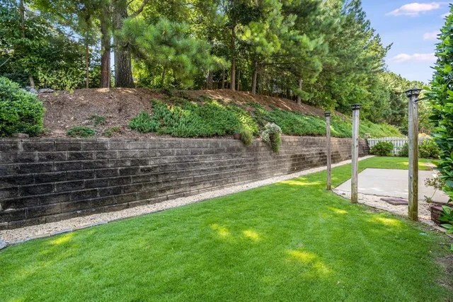 a view of a yard with plants and trees