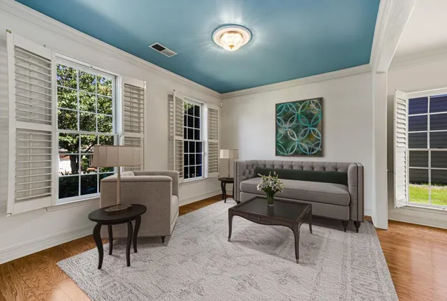 a living room with furniture and a potted plant
