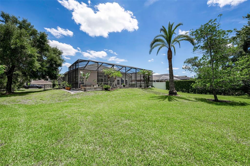 16207 Rambling Road Odessa, FL 33556 - Photo 51 of 76