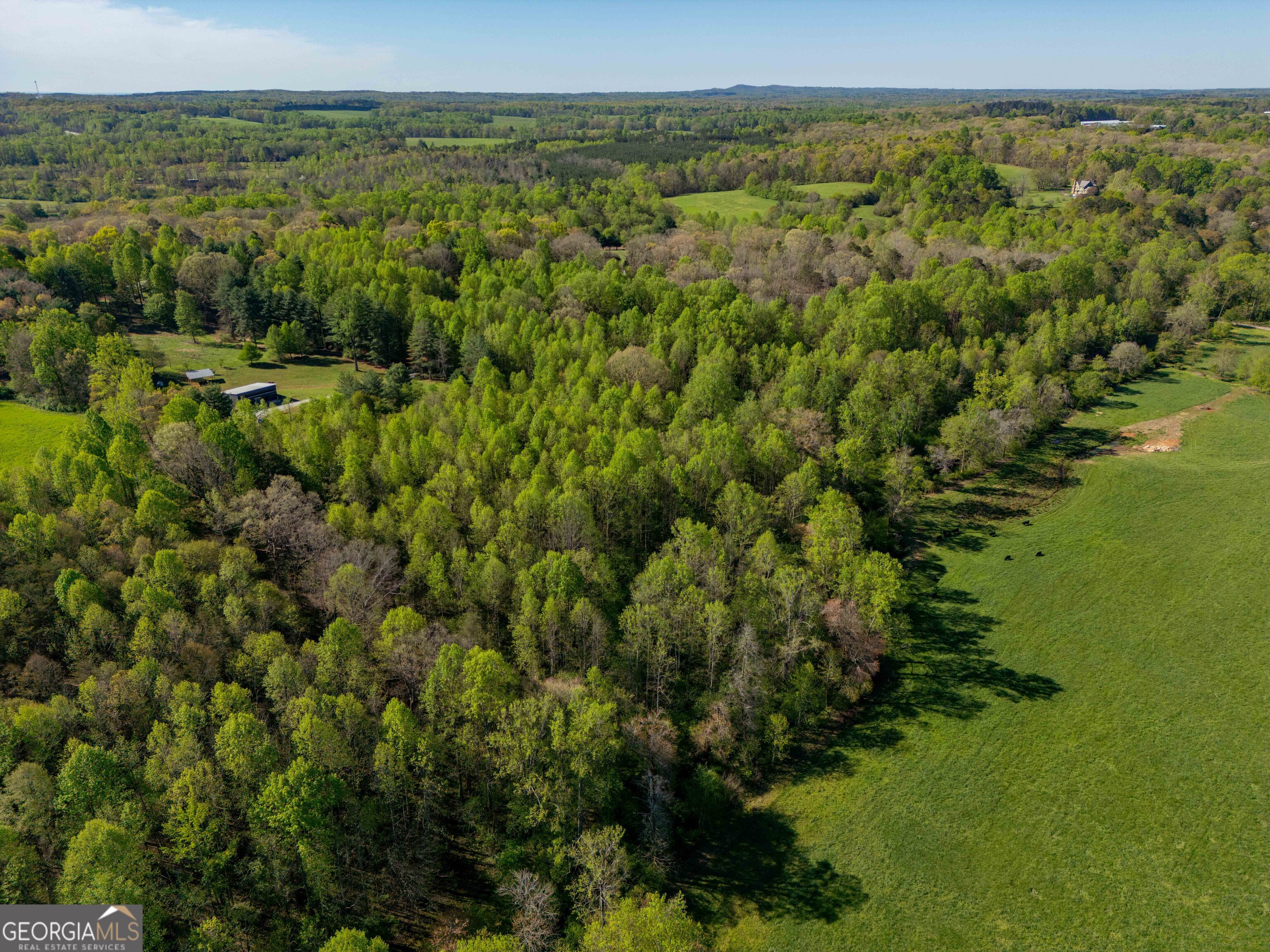0 Glade Rock Springs Road Clarkesville, GA 30523 - Photo 14 of 31