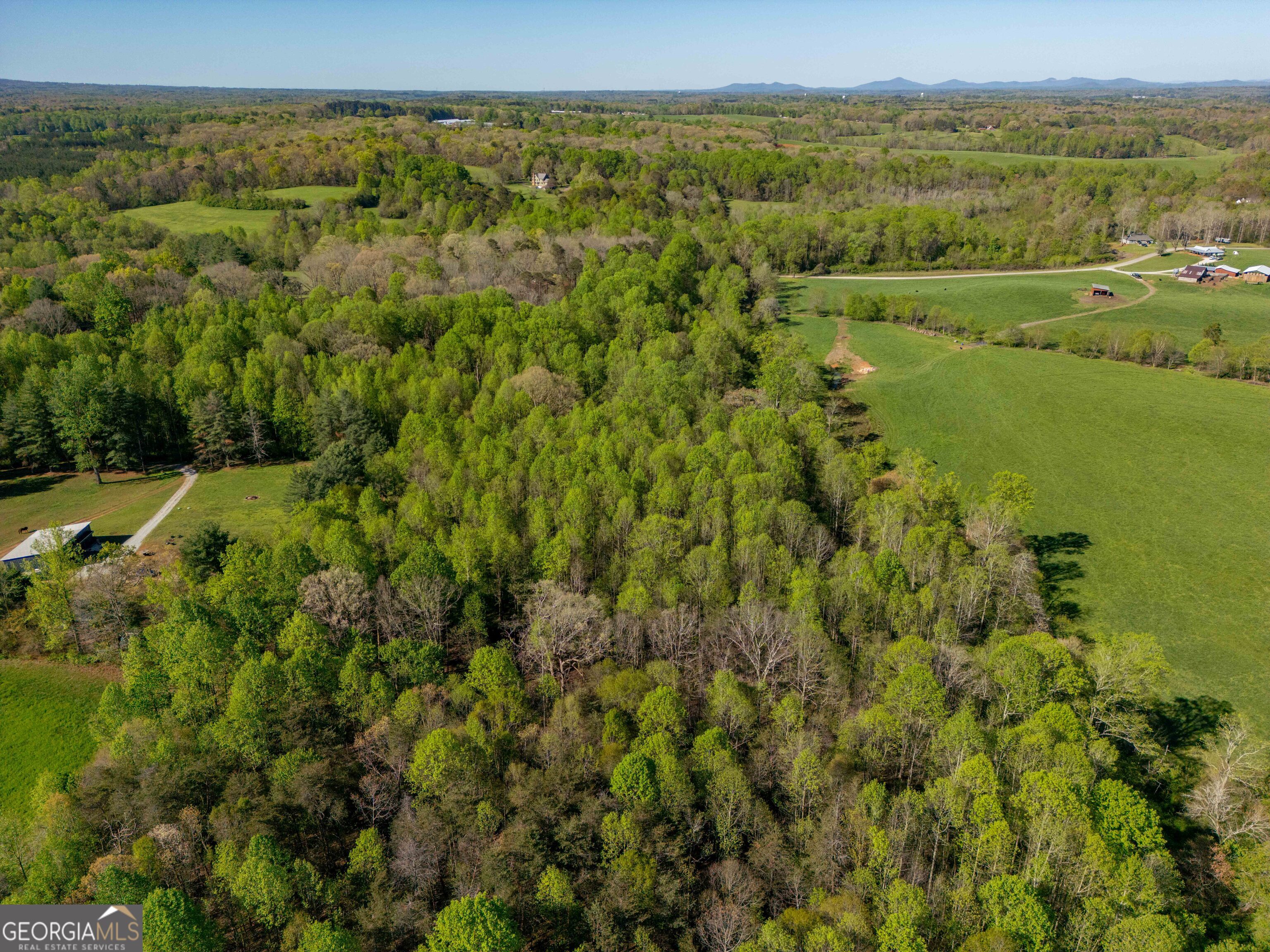 0 Glade Rock Springs Road Clarkesville, GA 30523 - Photo 15 of 31