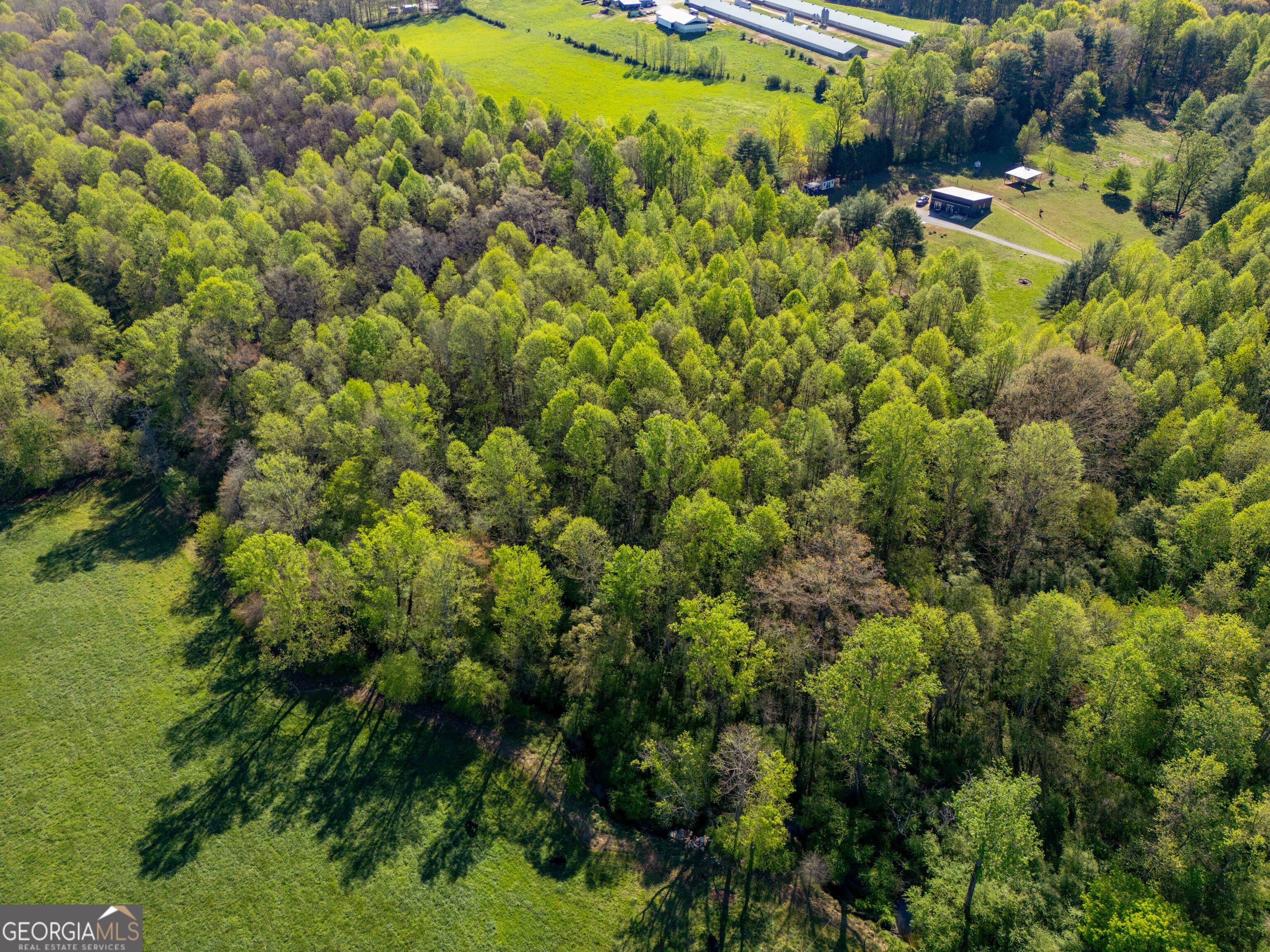 0 Glade Rock Springs Road Clarkesville, GA 30523 - Photo 16 of 31