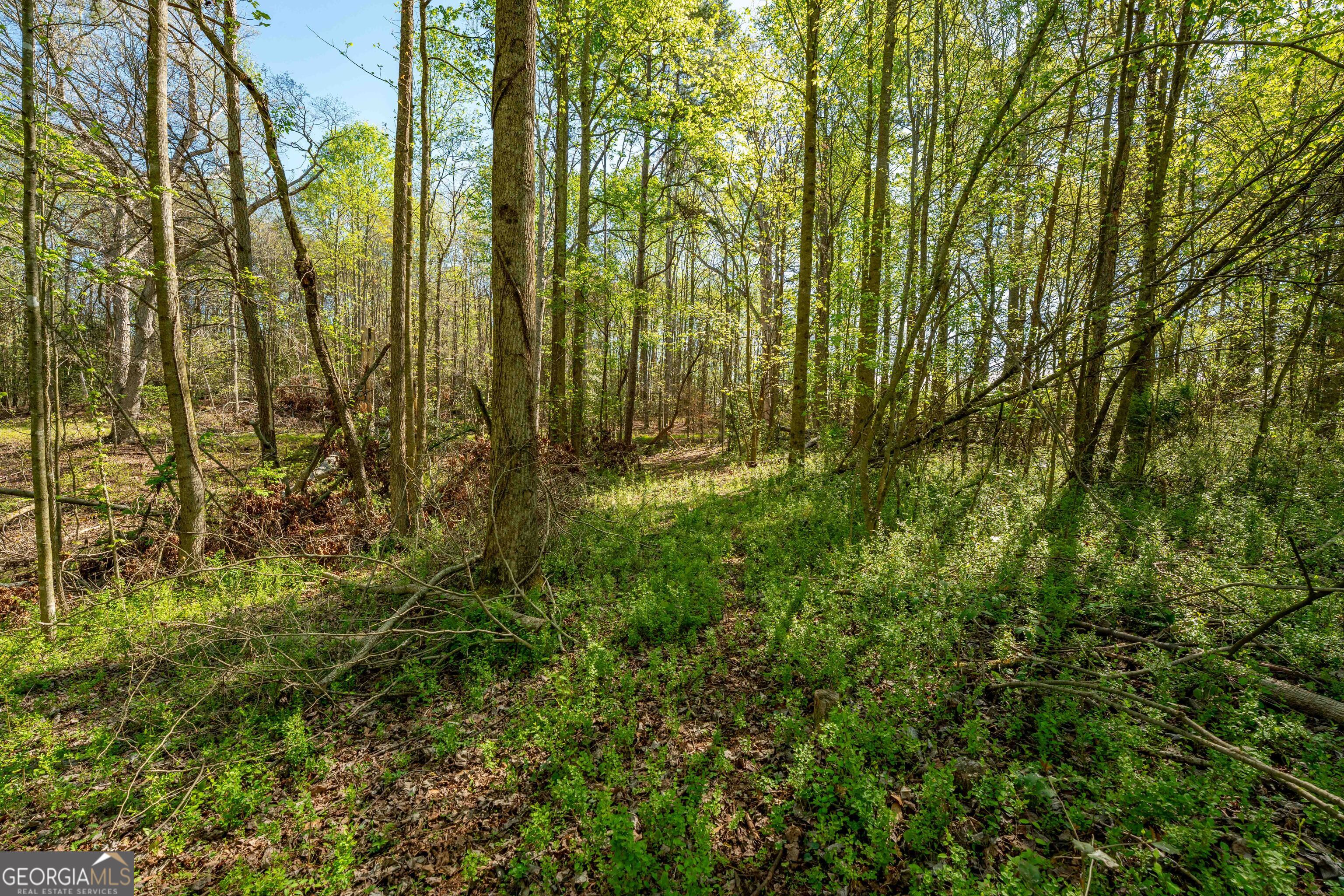 0 Glade Rock Springs Road Clarkesville, GA 30523 - Photo 17 of 31