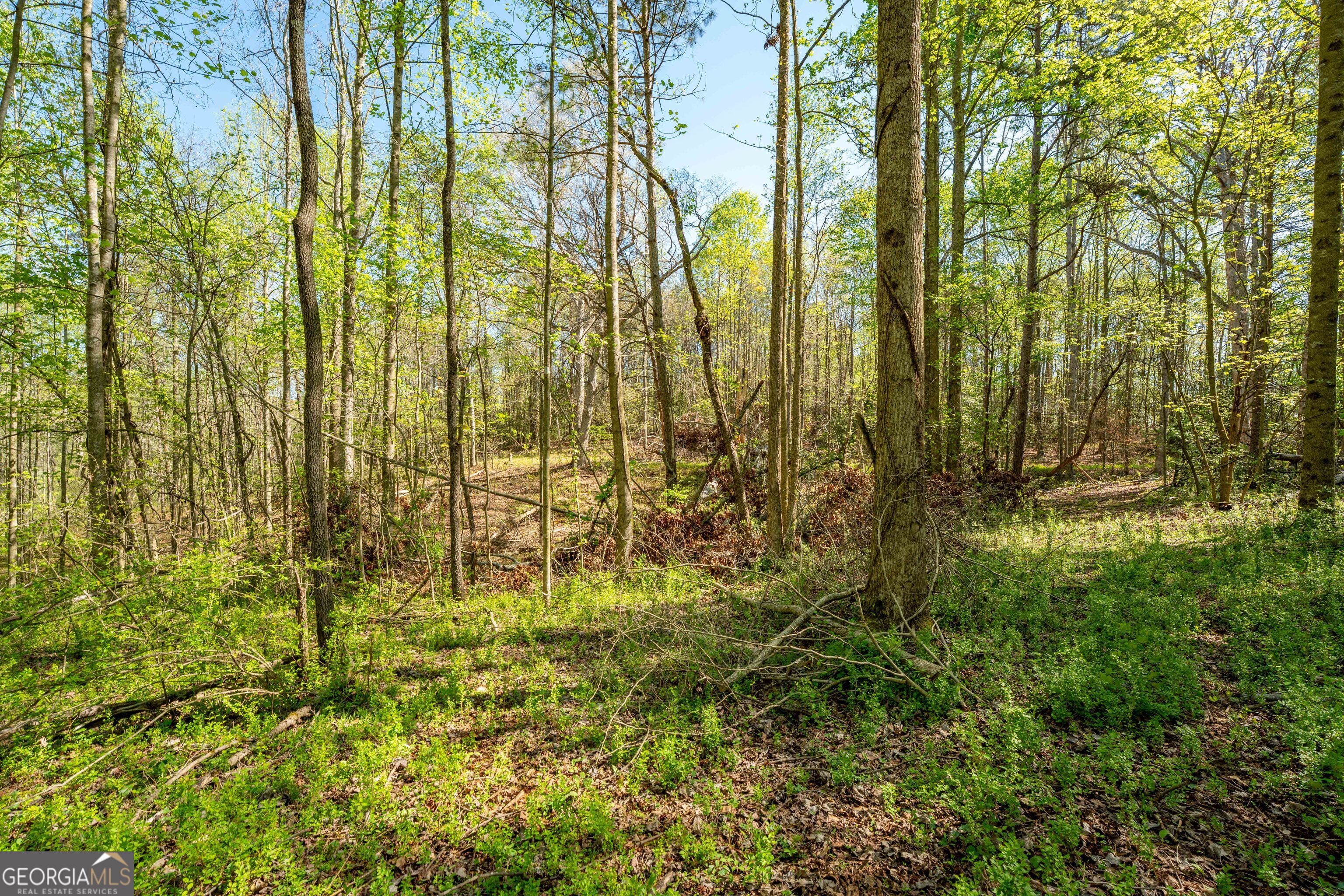 0 Glade Rock Springs Road Clarkesville, GA 30523 - Photo 18 of 31