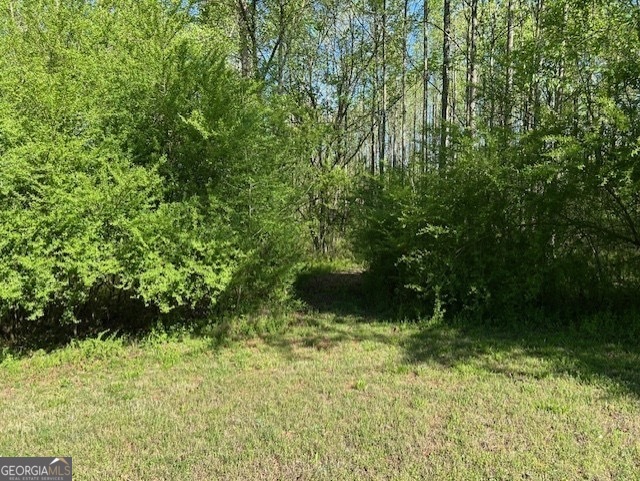 0 Glade Rock Springs Road Clarkesville, GA 30523 - Photo 2 of 31