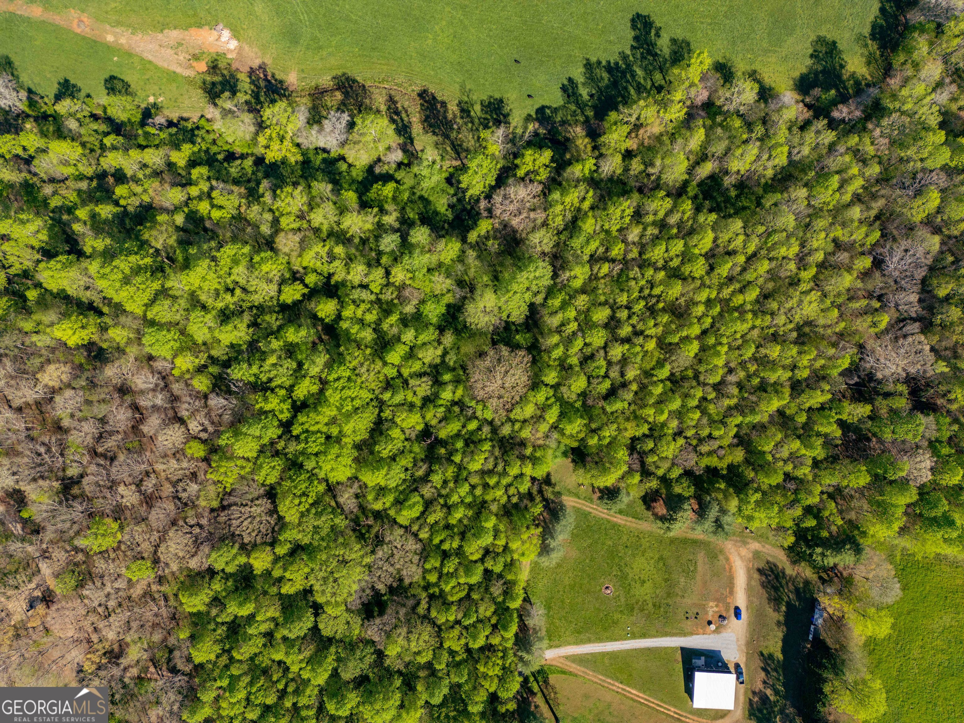 0 Glade Rock Springs Road Clarkesville, GA 30523 - Photo 22 of 31