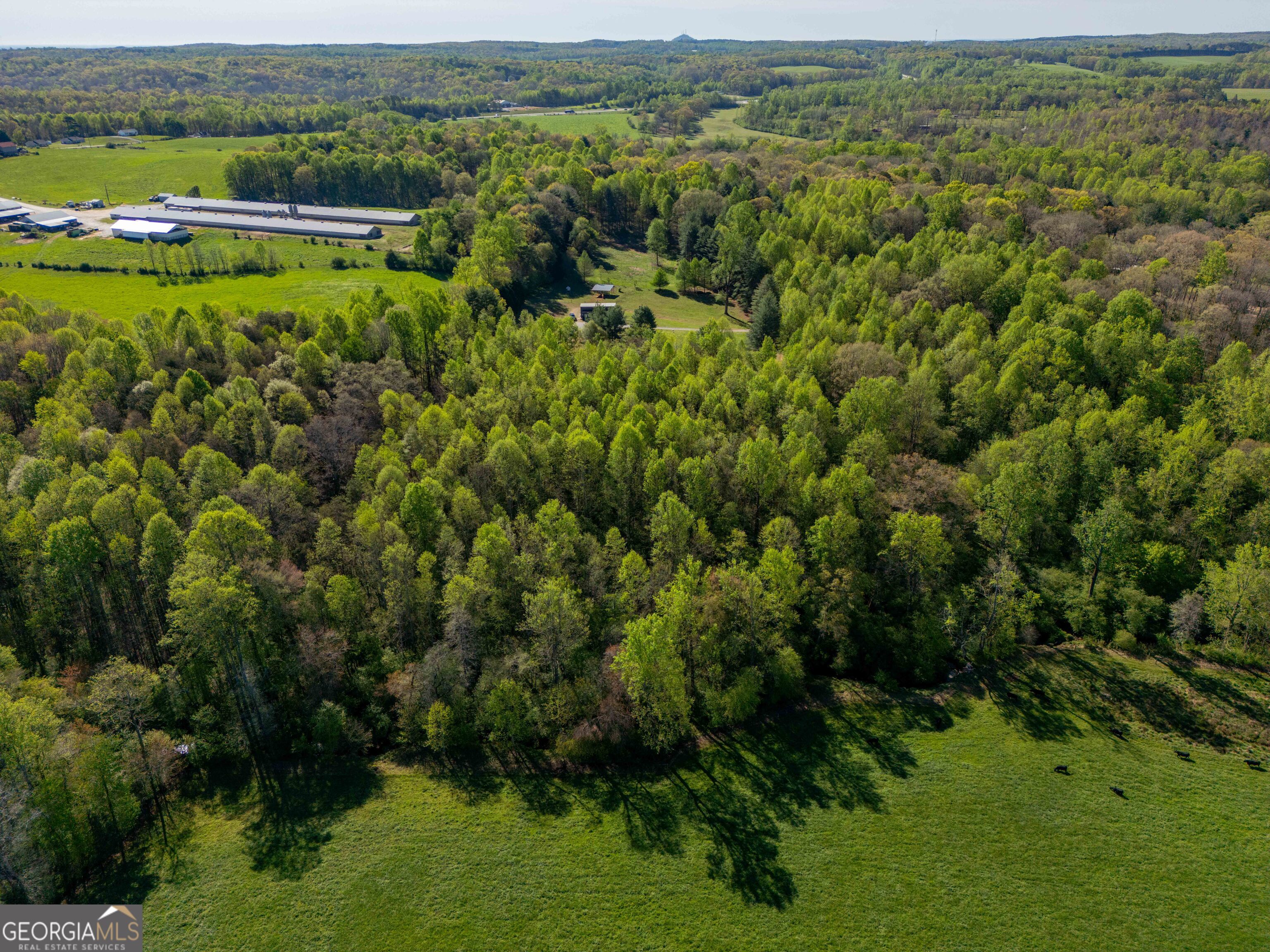 0 Glade Rock Springs Road Clarkesville, GA 30523 - Photo 25 of 31