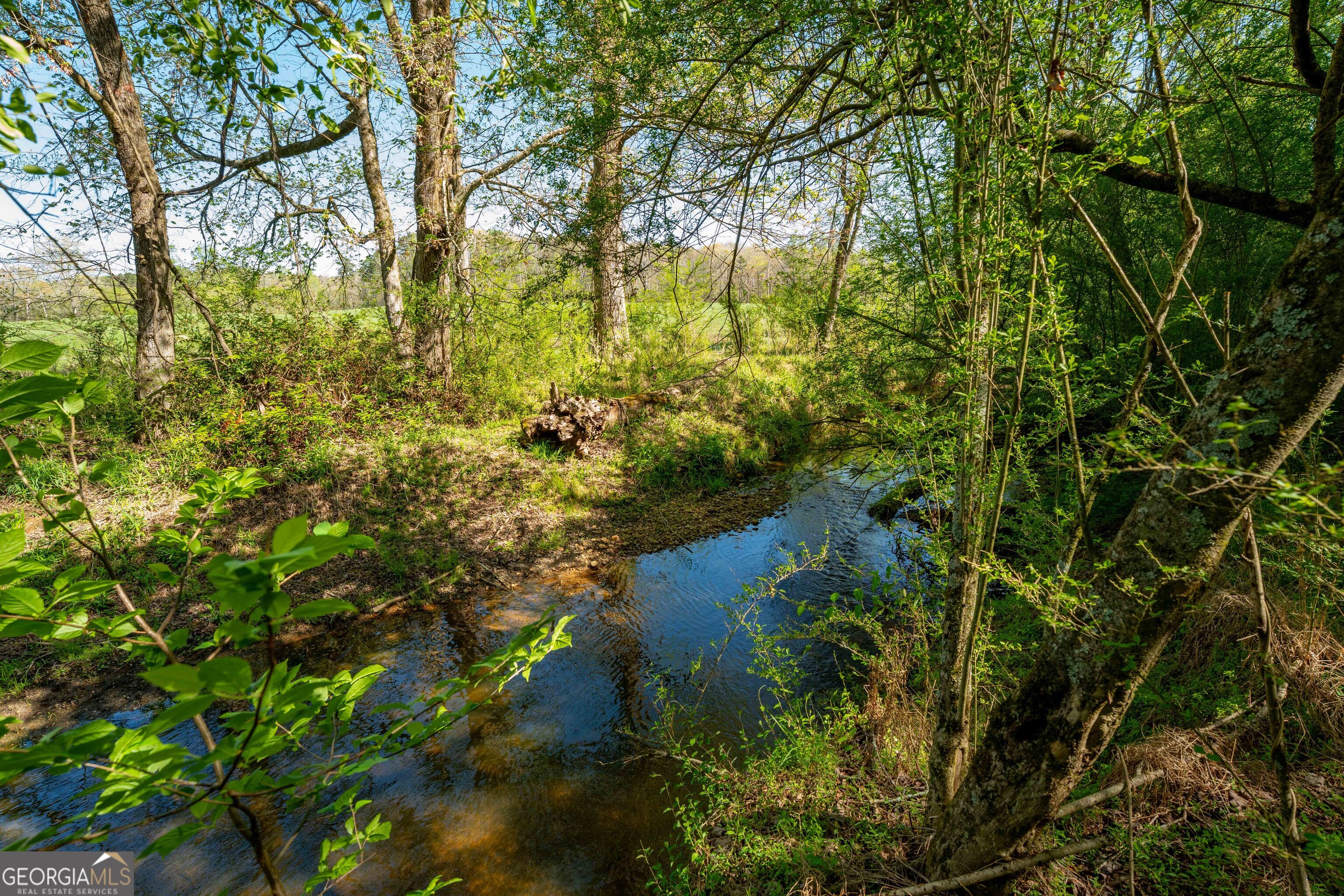 0 Glade Rock Springs Road Clarkesville, GA 30523 - Photo 28 of 31