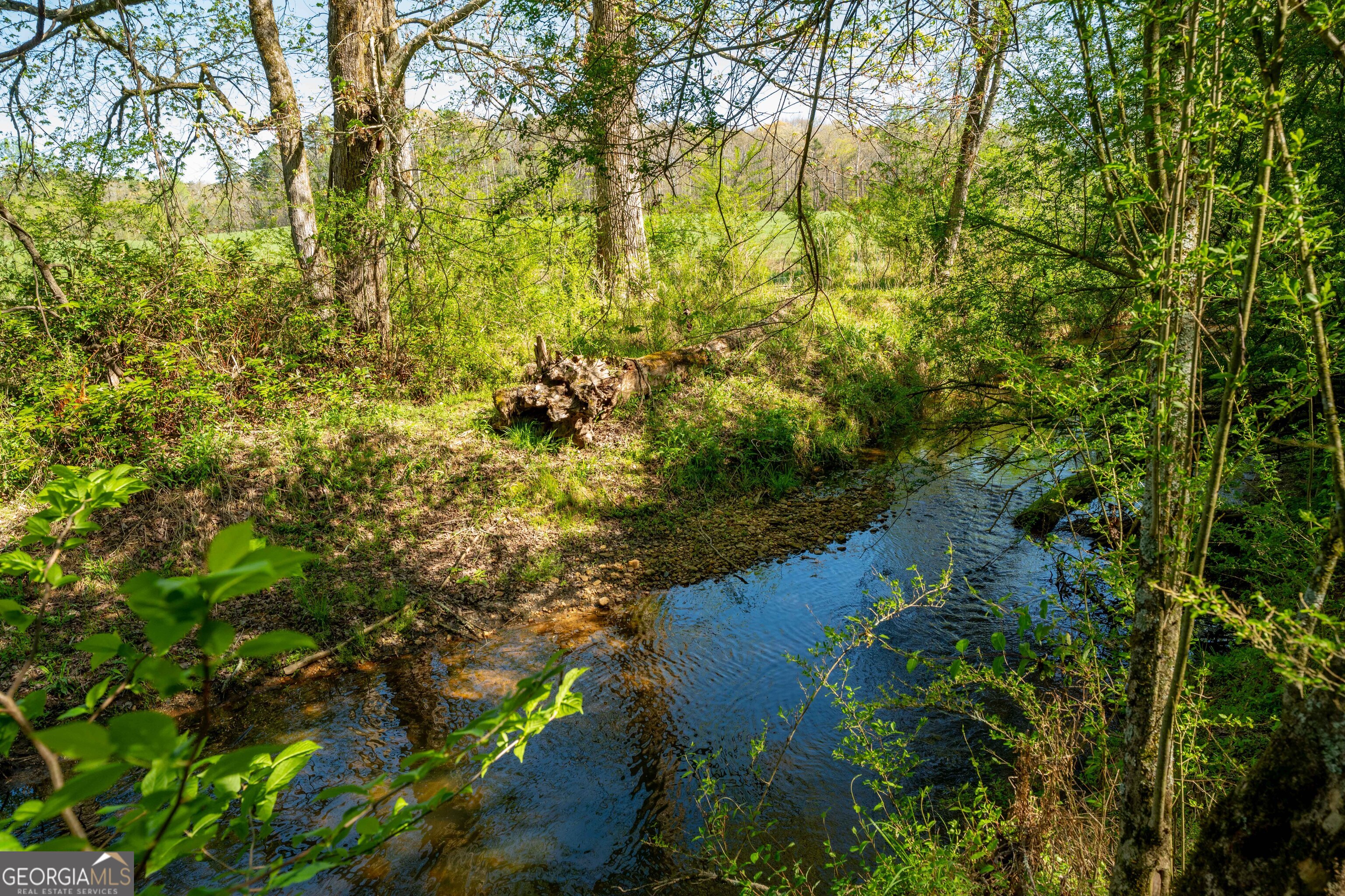 0 Glade Rock Springs Road Clarkesville, GA 30523 - Photo 29 of 31