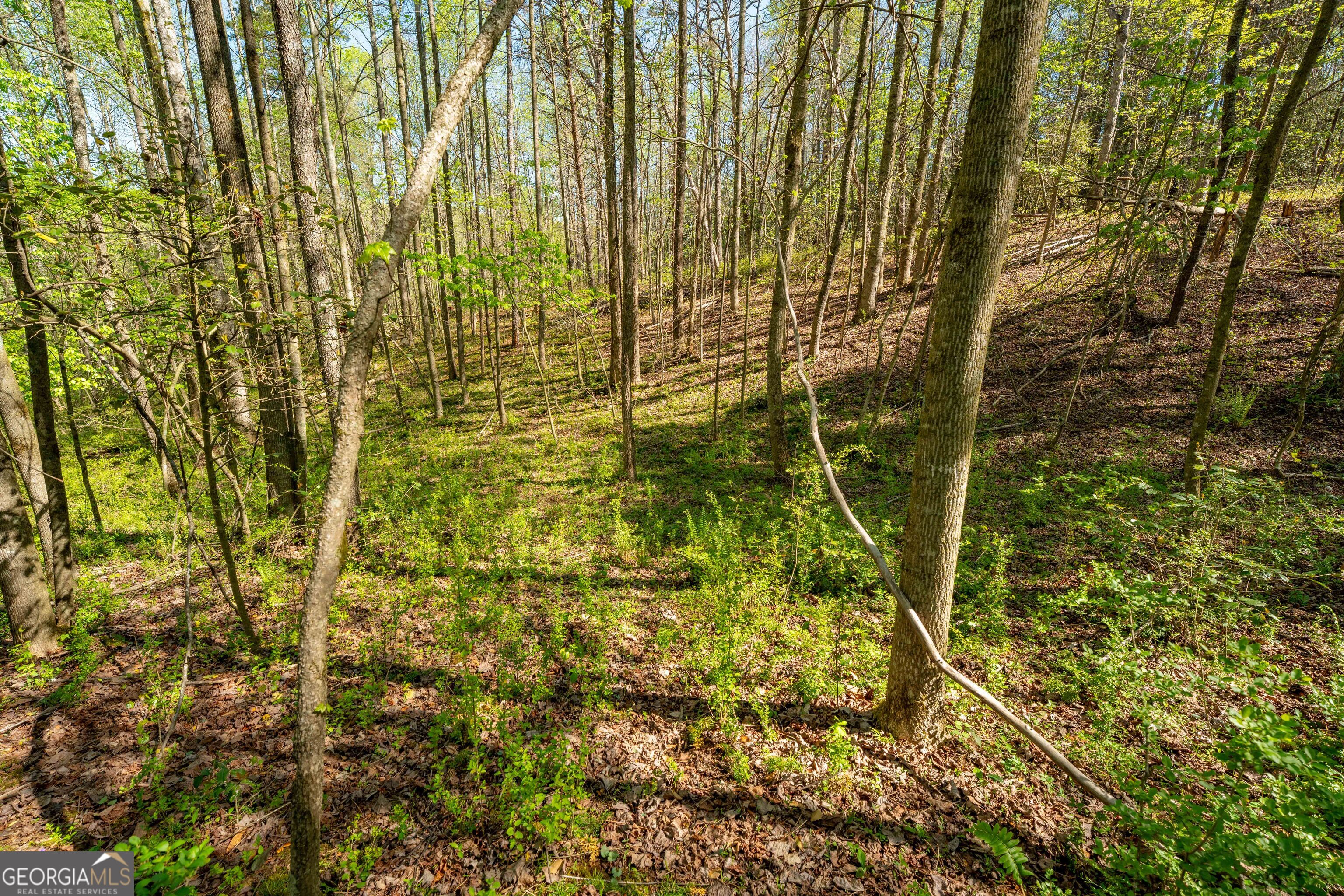 0 Glade Rock Springs Road Clarkesville, GA 30523 - Photo 4 of 31