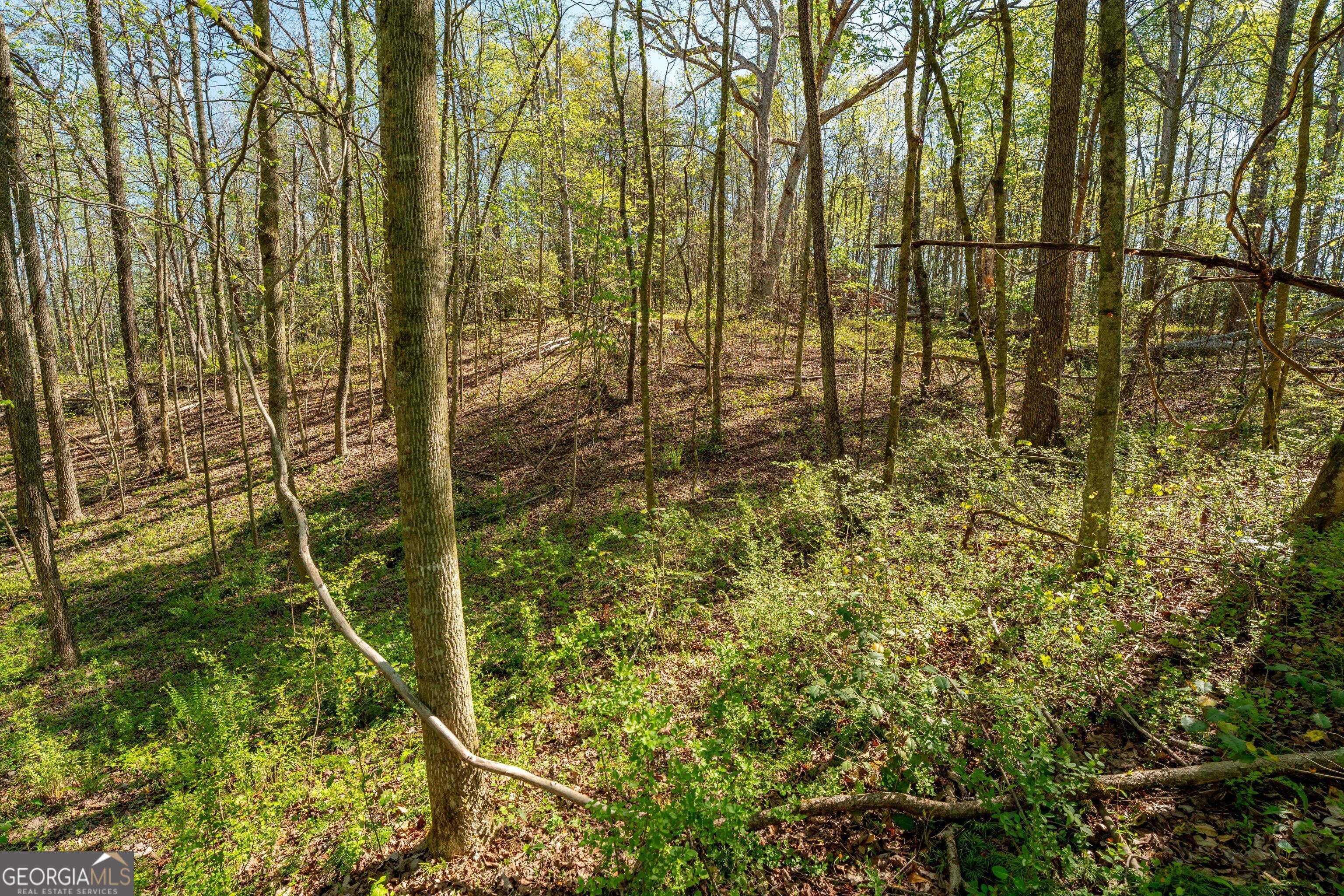 0 Glade Rock Springs Road Clarkesville, GA 30523 - Photo 5 of 31