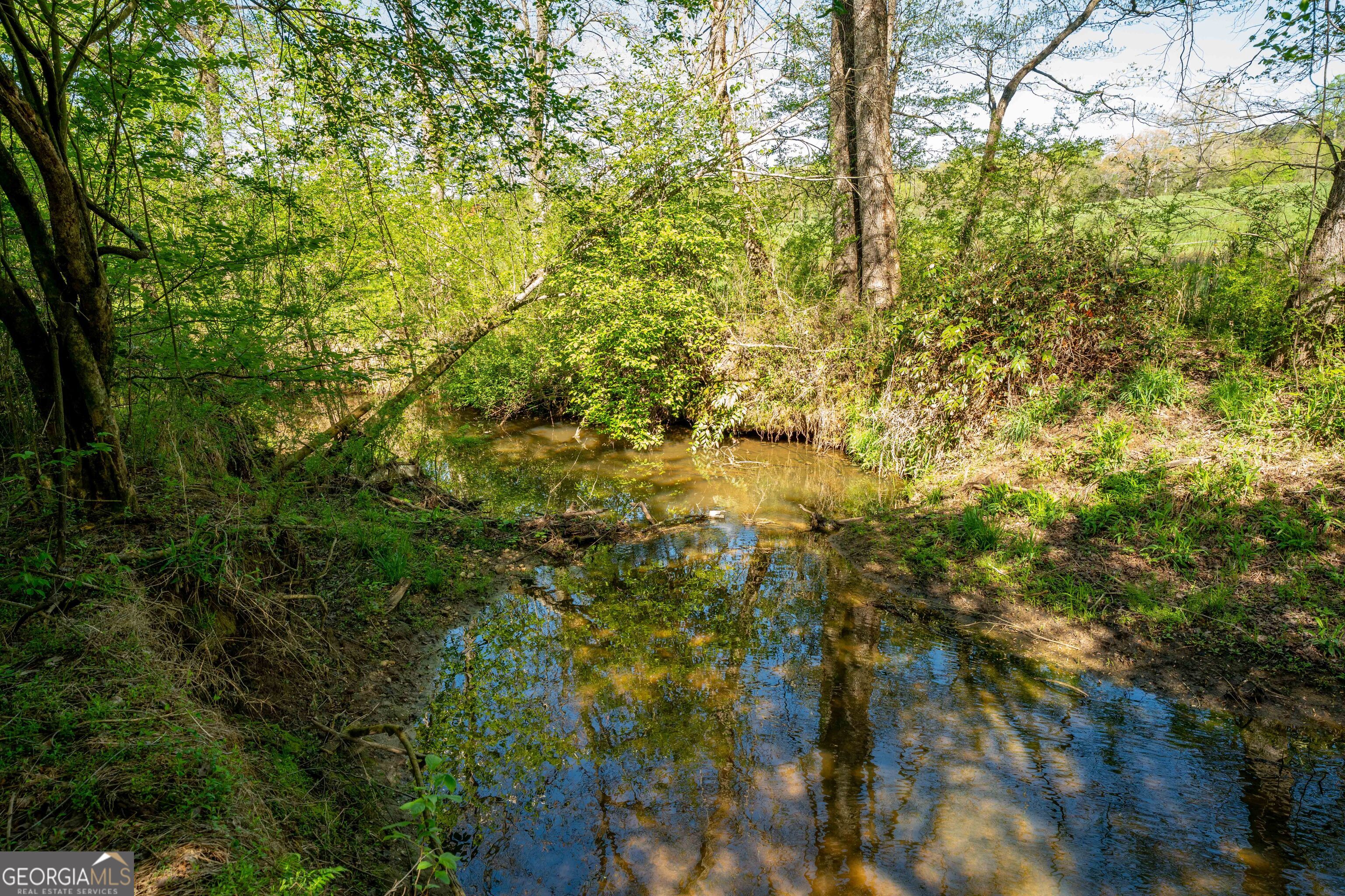 0 Glade Rock Springs Road Clarkesville, GA 30523 - Photo 6 of 31