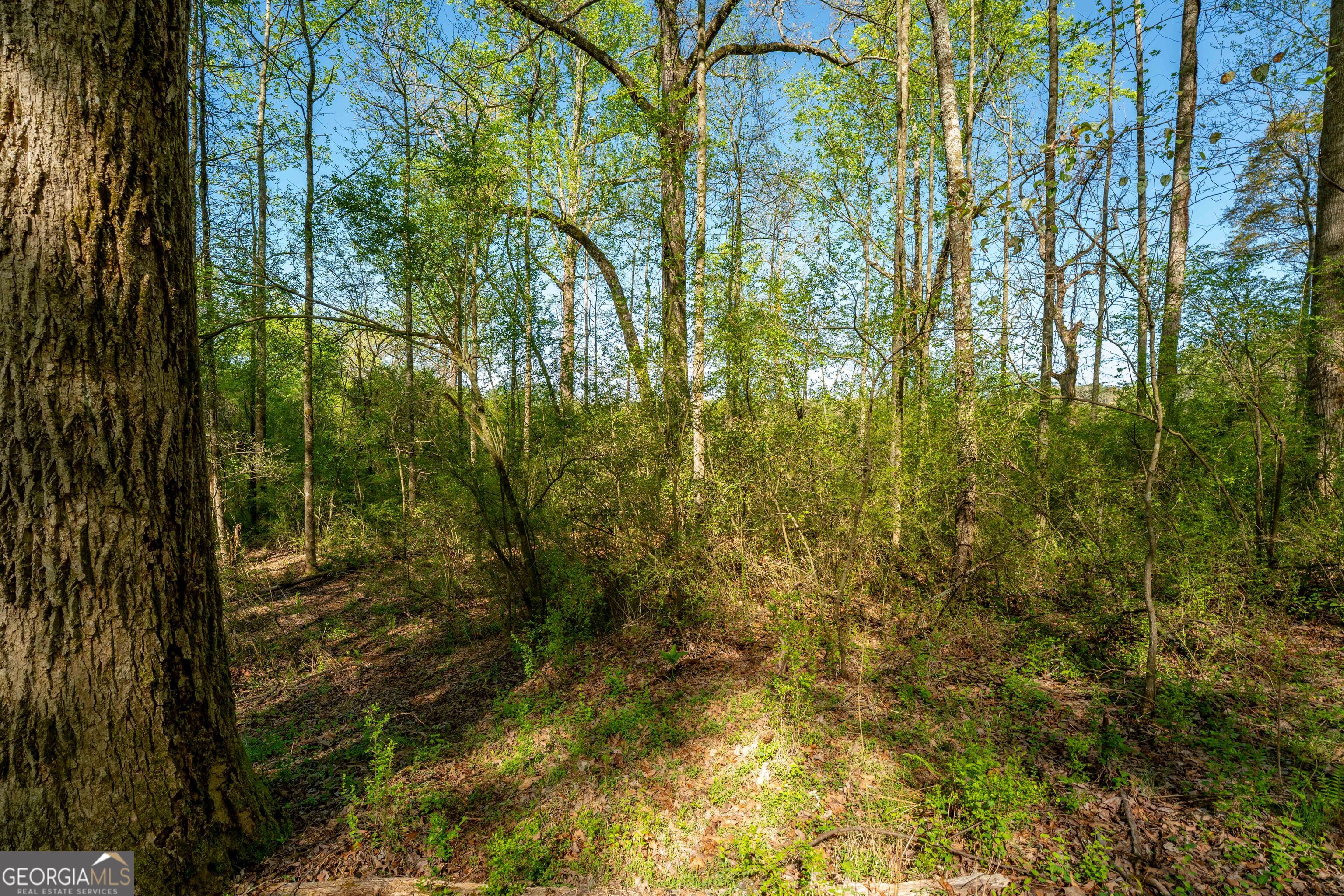 0 Glade Rock Springs Road Clarkesville, GA 30523 - Photo 8 of 31