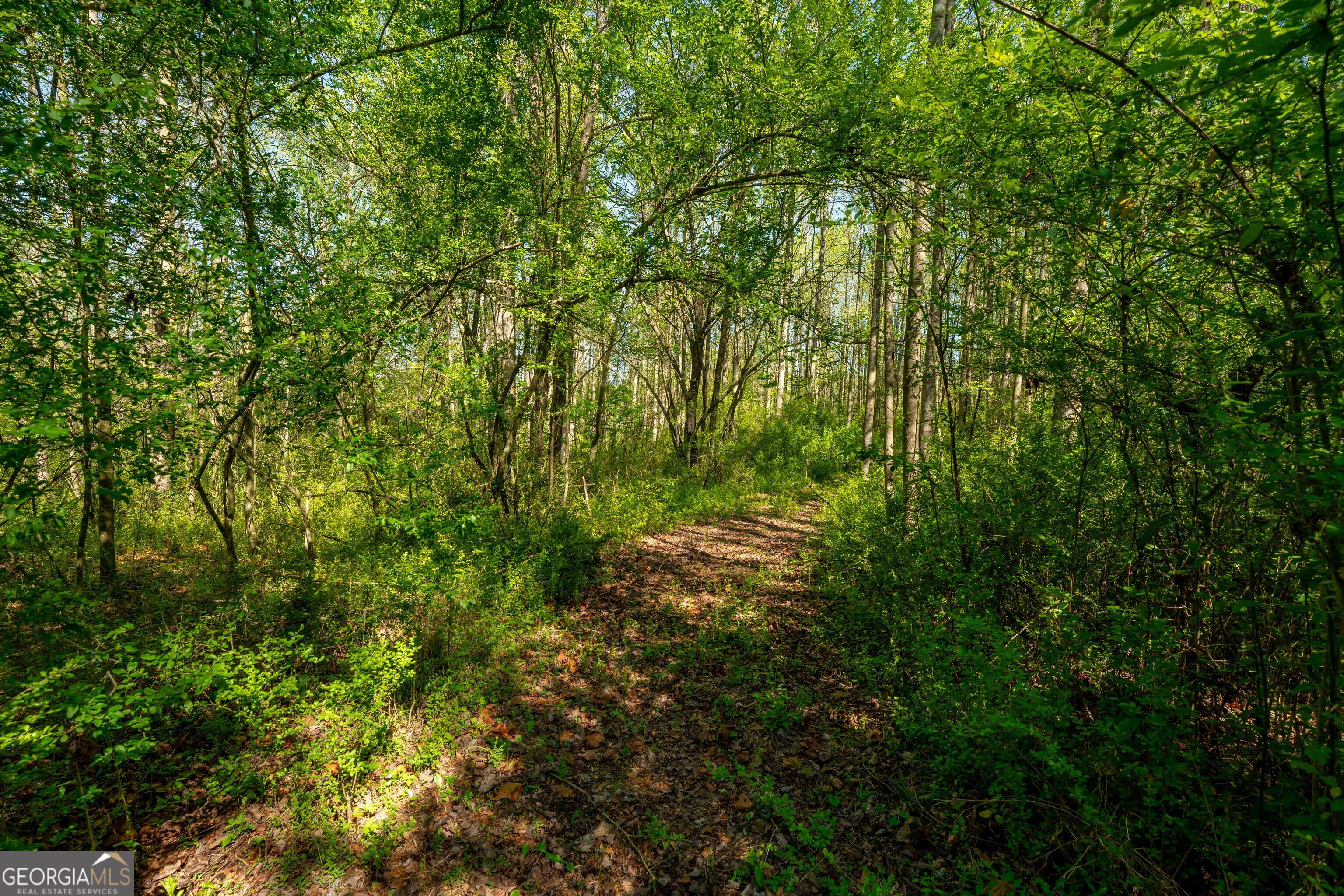 0 Glade Rock Springs Road Clarkesville, GA 30523 - Photo 9 of 31